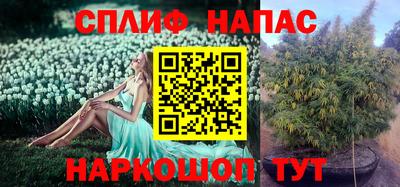марки lsd Славгород