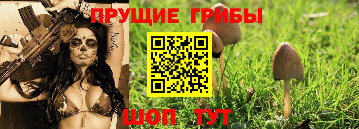 Галлюциногенные грибы Cubensis Норильск